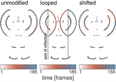 Points and Stripes: A Novel Technique for Masking Biological Motion Point-Light Stimuli